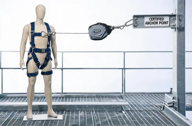 Full body harness and lifeline system